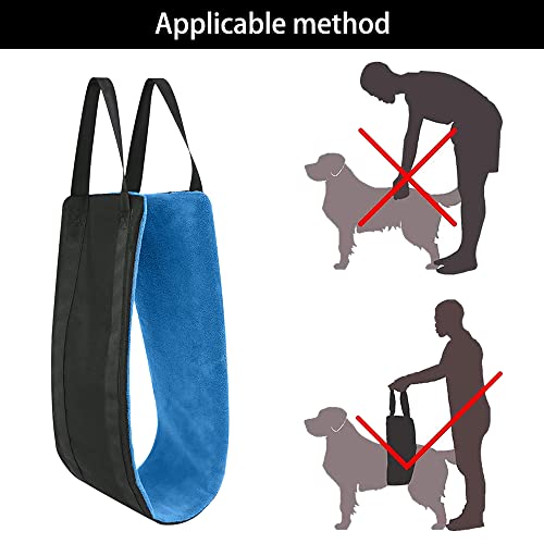 XGzhsa Hundegeschirr, Gehhilfe Hund Tragehilfe, Tragegeschirr Notfall Hebegeschirr Für Hunde, Helfen Sie Dem Hund Zu Laufen, Auf Schwachen Beinen Zu Stehen, Treppen Zu Steigen, 134 x 16CM, Blau