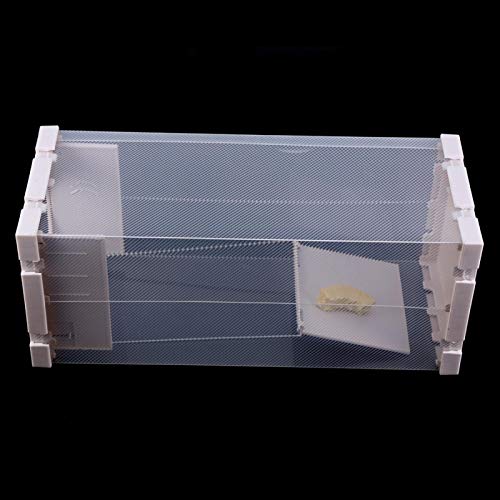 Humane rattenval, muizen Knaagdieren Kooi Levend dier Humane valvangst Ongedierte Knaagdieren Muizen Muiscontrole Aas… - Image 8