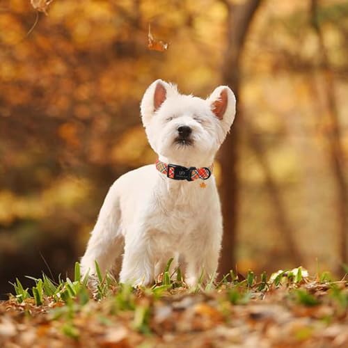 Image of Autumn Plaid Dog Collar - Adjustable Orange Tartan Dog Collar with Fall Leaf Charm, Cozy Fall Vibes Orange Yellow Grid Puppy Collars for Small /Medium /Large Dogs