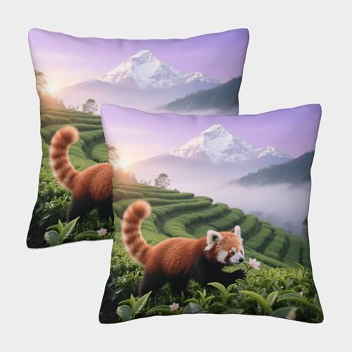 Funda De Cojín con Panda Rojo Juego De 2, Microfibra Suave Funda De Almohada con Cremallera Invisible, Fundas Decorativas De Cojín para Sofá Coche Cama Sillas, 45x45cm