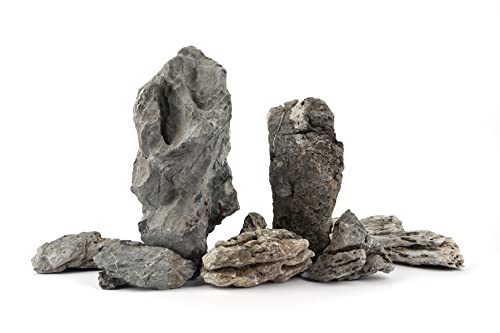 Image of LANDEN Seiryu Stones Natural Rocks (17lbs, 3~11 inches,7-8pcs) for Aquarium, Paludarium, Terrariums, Landscaping Rocks, Aquascaping