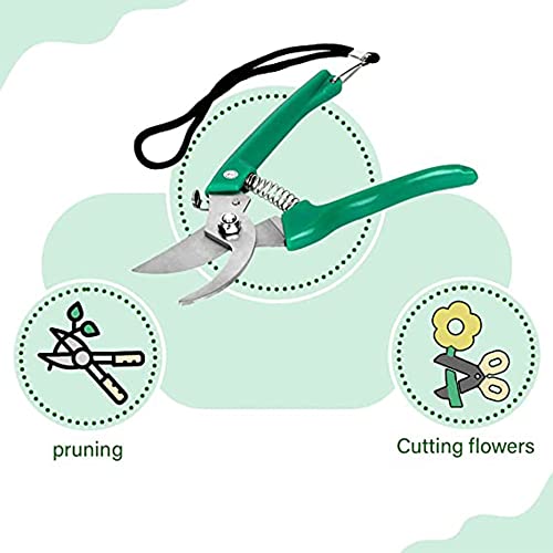 Kraft Seeds Assorted Hand Pruner Cutter - 1Pc (Steel Blades) | Heavy Duty Gardening Cutter Tool | Plant Cutter for Home Garden | Wood Branch Trimmer | Grass Cutting Accessories | Durable Stem Scissors