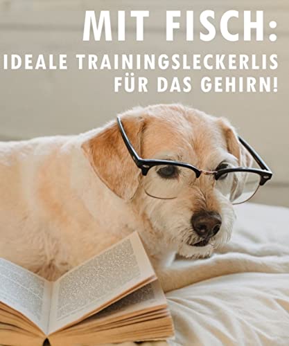 Paw Natural Hunde Leckerlis Training | 250g Känguru-Leckereien | 100% Gluten- & getreidefrei | aus frischem Fleisch gesunder Tiere