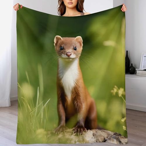 Manta de forro polar de visón 130x150 cm suave para sofá y cama 2