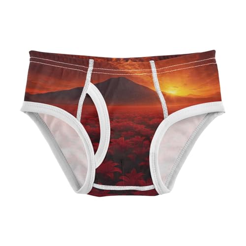 GuoChe Toddler Underwear Boys Cotton Red Lily Sunset Landscape in Sizes 2T,3T, 4T, 5T, 6Y and 8Y
