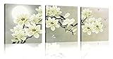 Natural art – White Magnolia & Butterfly Under the Moon Modern Giclee Canvas Prints Paintings to Photo Printed Artwork for Wall Decor