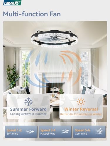 Image of LEDIARY 2-Pack 24 inch Ceiling Fans with Lights, APP & Remote, Black