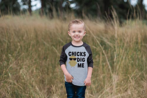 7 ate 9 Apparel Boy's Dinosaur Little Brother Grey Baseball Shirt T-Shirt2