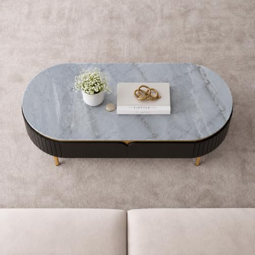 Image of The Attic Carlston Coffee Table for Living Room, Solid Wood Centre Table with Ceramic Top, Black Matte Finish, Oval Shape with Gold Accent