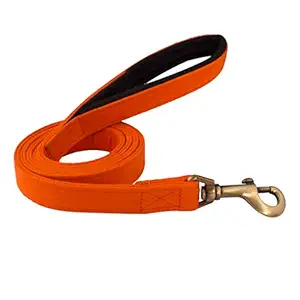 PetWale Dog Leash with Padded Handle for Walking Running Training, Comfortable Heavy Duty (Orange, L: 5 feet, W: 0.78