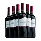 Castroviejo Tempranillo Rioja Crianza 75 cl Vino tinto (Caja de 6 Botellas de 75 cl)