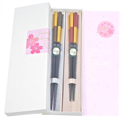 �C�i�ƍ��M�� �v�w�� �v���[���g���� ���p���@(�͂�������������) 23/21cm �H��@�Ή� �ዷ�h ���{��