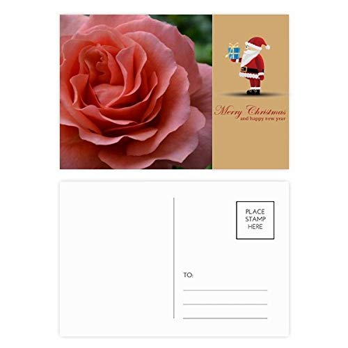 Lot de 20 cartes postales roses et vertes idée cadeau pour passionnés
