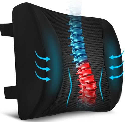 Niceeday Lumbar Support Pillow for Office Chair Car, Gaming Chair...