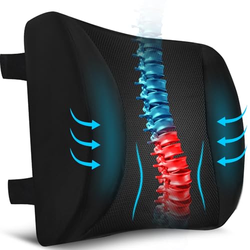 Lower Back Support pillow
