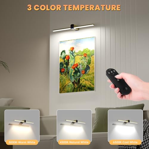 Lightbiz Picture Light for Wall 20inch, 10000mAh Rechargeable Battery Operated Cordless Dimmable Wall Lights for Picture on Wall with Remote Timmer, Picture Lights for Gallery Artwork, Paintings