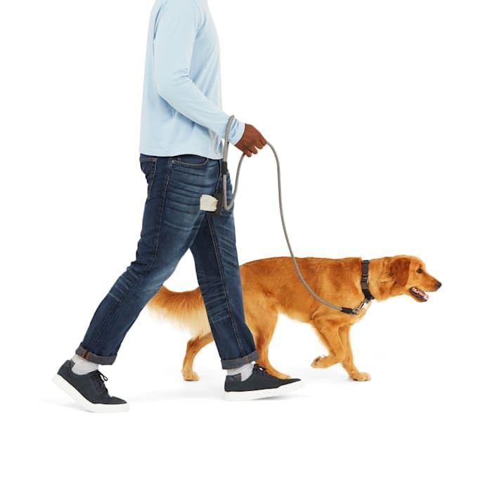 Image of Reddy Grey 3-Piece Walking Kit for Dogs, Medium