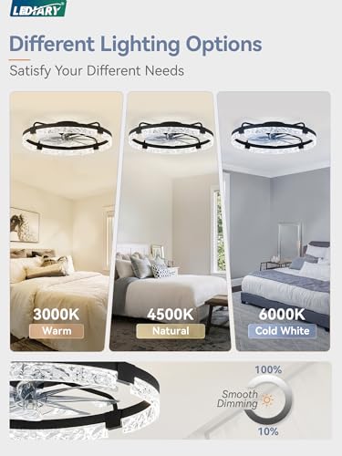Image of LEDIARY 2-Pack 24 inch Ceiling Fans with Lights, APP & Remote, Black