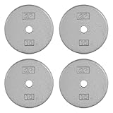 CAP Barbell Cast Iron Standard 1-Inch Weight Plate Set – Barbell Weights for Home Gym, Strength Training, and Weightlifting, 10 lb Set of 4, Gray