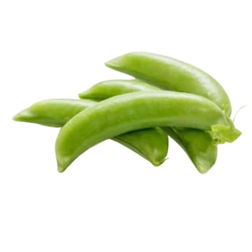 [2026年春発送]北海道 ふらの産 スナップ エンドウ Lサイズ 約2kg (嶋崎農園) 野菜 新鮮 直送 朝採り アスパラガス 道産 富良野 ふらの
