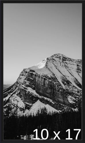 Frame It Easy 10 7/8 x 17 3/8 Satin Black Metal Frame (Ashford) 10.9x17.4 inches