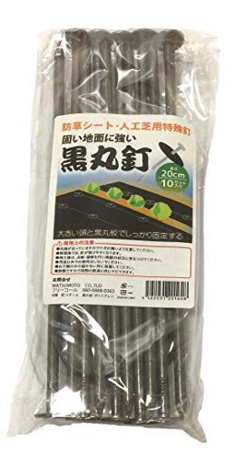 VZC(Shinsei) SHINSEI hV[g p ۓB 20cm 10Zbg