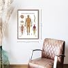 Anatomy Lab Spinal Nerves Laminated Poster Detailed Human Nervous System Chart with Labeled Nerve Pathways for Medical Study, Classroom, or Clinic Display