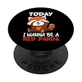 Cute & Funny Red Panda Apparel Gifts