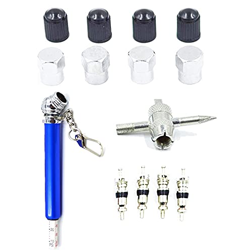 Accretion Tire Valve Repair Tool Kit - Professional Grade for Automotive Maintenance