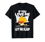 Cute Sleeping Animals Dreaming Animals on Pillows