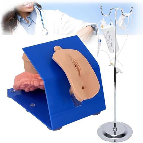 Modelo de entrenamiento de cateterismo y enema para escuelas médicas