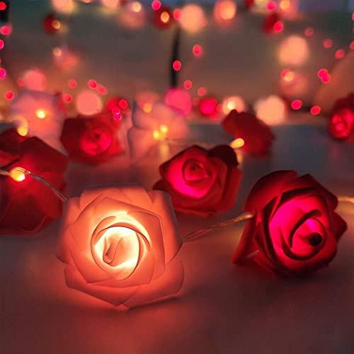 TourKing Rose Flower String Lights 19.6 Ft 40 LED Artificial Rose Garland Fairy Lights USB Charged Rose Light for Wedding Anniversary Garden Party Decor Gift for Girls (Pink+Red)