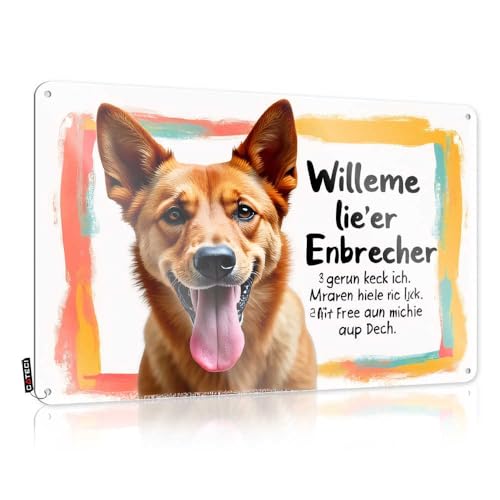 Letreros de bar al aire libre con texto en inglés 'Dog'S Choice: Thieves Over Free Roof Access Tin Sign Man Cave' (20 x 30 cm)