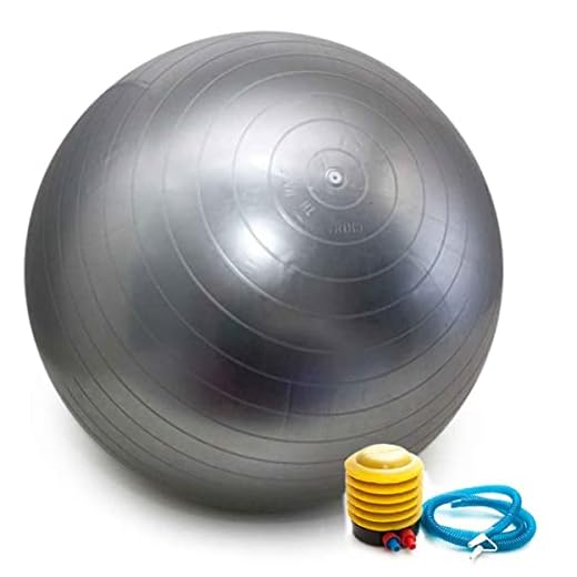 Bola Pilates 65cm C/Bomba Cinza Yoga Abdominal Ginástica Fitness