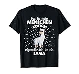 Schaue meine anderen Lama Angebote an