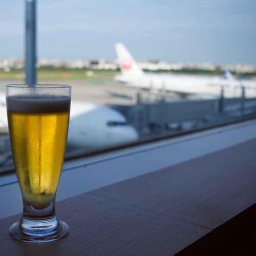 'Who Needs to Drink Beer at That Time?' Ryanair Boss Calls for Ban on Early Morning Pre-Flight Pint - 07/05/2026