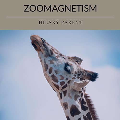  Zealous Surplus