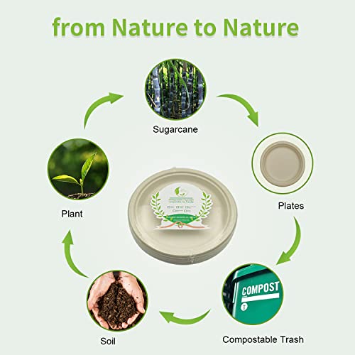Zuckerrohr Einwegteller BOFA Eco Tableware 20 Stück rund