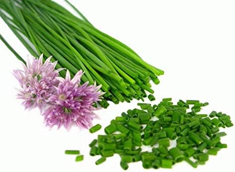 Miniatura 7 de Semillas Cebollino Ajo Scapes Cebolla Heirloom Vegetal NO OGM para plantar