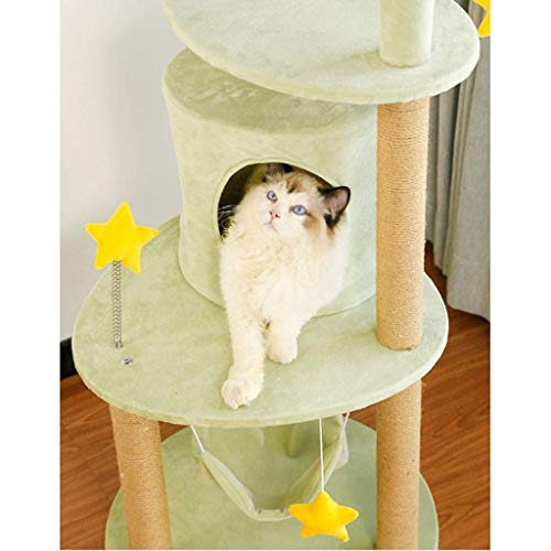 Arbre à chat compact pour stimuler le jeu et protéger vos canapés