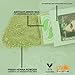 1 Pack Of Auburn Henna Hair & Beard Color/Dye 100 Grams - Natural Hair Color, Plant-based Hair Dye - The Henna Guys