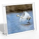 NIUBEE 8x10 Acrylic Picture Frame,Clear Frameless Photo Frame for Wall & Desktop Display Modern Floating Frame for Artwork Poster Diploma Certificate