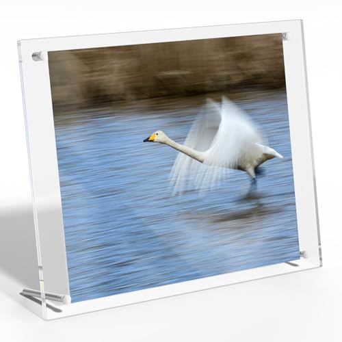 NIUBEE 8.5x11 Acrylic Picture Frame,Clear Frameless Photo Frame for Wall & Desktop Display Modern Floating Frame for Certificate Artwork Poster Diploma