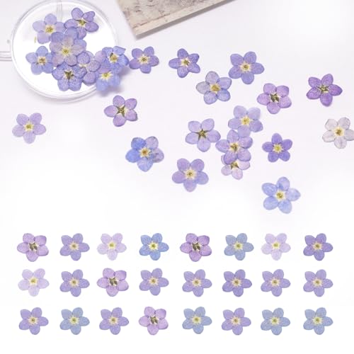 60Pcs Natural Forget Me Not Dried Flowers Real Dried Pressed Flowers Blue Dont Forget Me Flowers for Resin Soap Making Scrapbooking Epoxy DIY Resin Craft Decor
