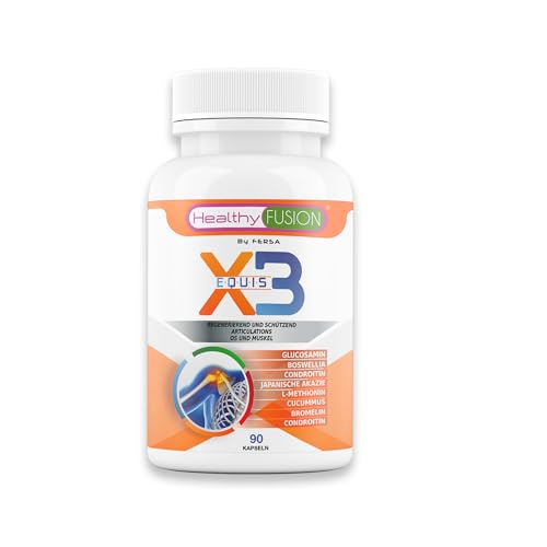 X3 Healthy Fusion | Komplex aus Glucosamin, Chondroitin, Kurkuma & MSM | Für starke Gelenke, gesunden Knorpel & leistungsfähige Muskeln | Lindert Schmerzen & verbessert die Beweglichkeit | 90 Kapseln