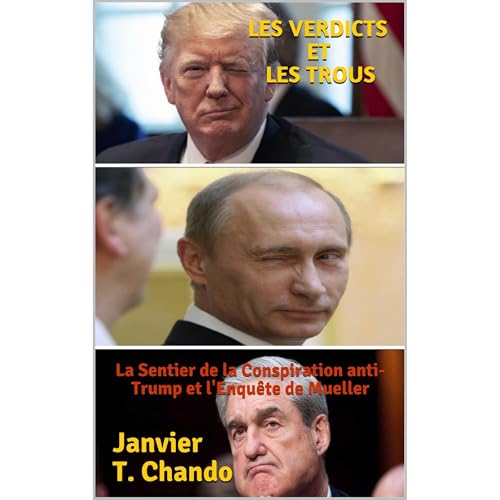 LES VERDICTS ET LES TROUS Audiolibro Por Janvier T. Chando, Janvier Tchouteu arte de portada