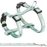 Leine Band stufenlos verstellbare Hals- und Bauchgurte