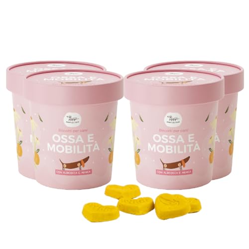 Biscotti per Cani contro Artrite | Ricchi di Glucosamina, Condroitina e Arnica| Snack Cane funzionale gusto Albicocca ideale per Ossa e Mobilità | 100gr x4 | Mangime Complementare Italiano | Hygge Dog
