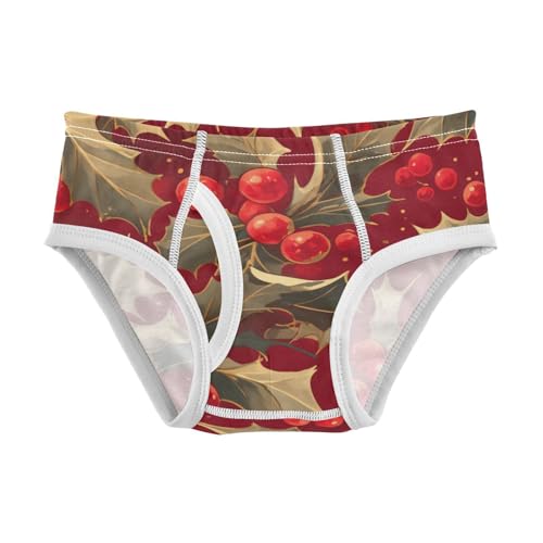 KLL Christmas Holly Berries Toddler Boys' Comfort Underwear Briefs Cute Children Panties