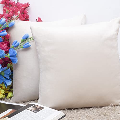 Image of Cazimo Velvet Cushion Covers for Bed, Sofa and Couch - 16 * 16 inches | Ideal for Living Room | Set of 2, Ivory